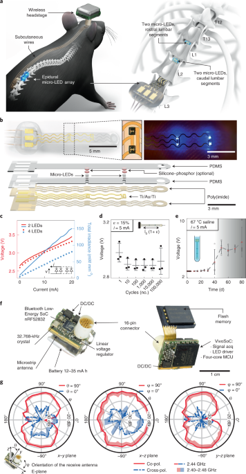 Wireless closed-loop optogenetics across the entire dorsoventral spinal cord in mice thumbnail