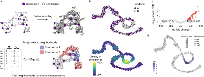Differential abundance testing on single-cell information utilizing <i>ok</i>-nearest neighbor graphs thumbnail