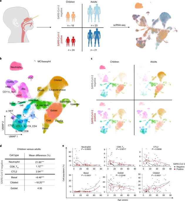 Pre-activated antiviral innate immunity in the upper airways controls early SARS-CoV-2 infection in children thumbnail