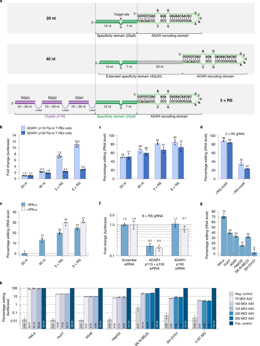 CLUSTER guide RNAs enable precise and efficient RNA editing with endogenous ADAR enzymes in vivo thumbnail