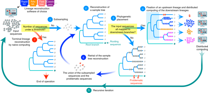 Deep distributed computing to reconstruct extremely large lineage trees thumbnail