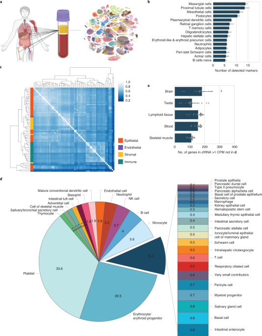 Cell types of origin of the cell-free transcriptome thumbnail