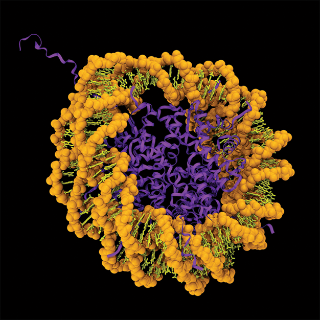 Chroma to pioneer epigenetic editors thumbnail