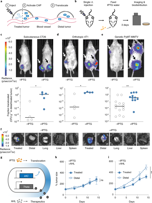 A programmable encapsulation system improves delivery of