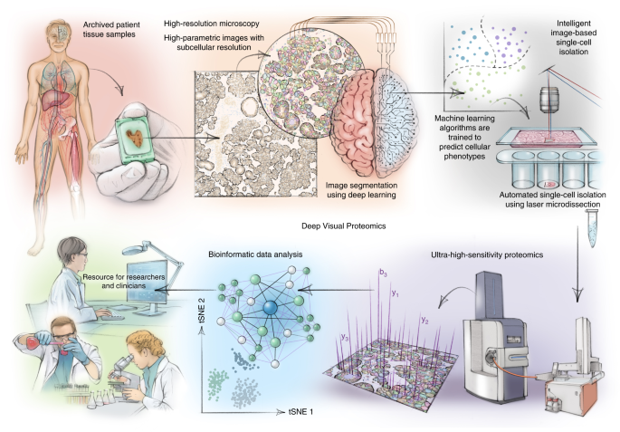 Single-Cell Proteomics with Spatial Attributes: Tools and Techniques