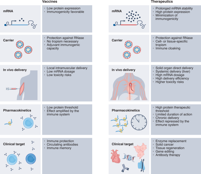 Unlocking the promise of mRNA therapeutics | Nature Biotechnology