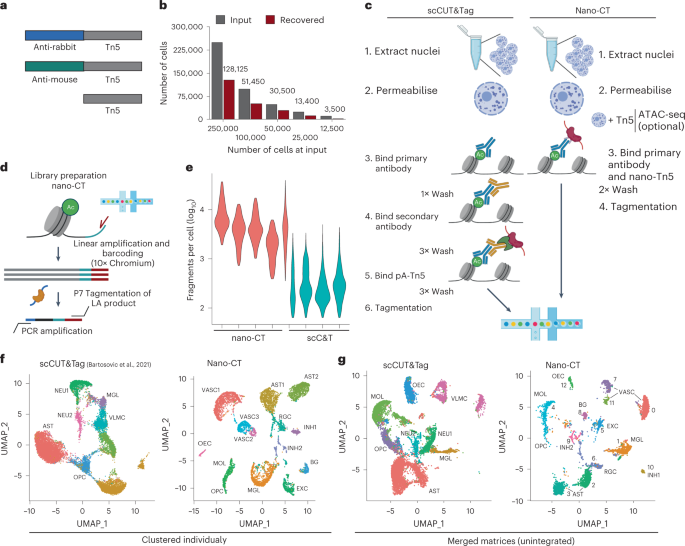 Multimodal chromatin profiling using nanobody-based single-cell CUT&Tag thumbnail