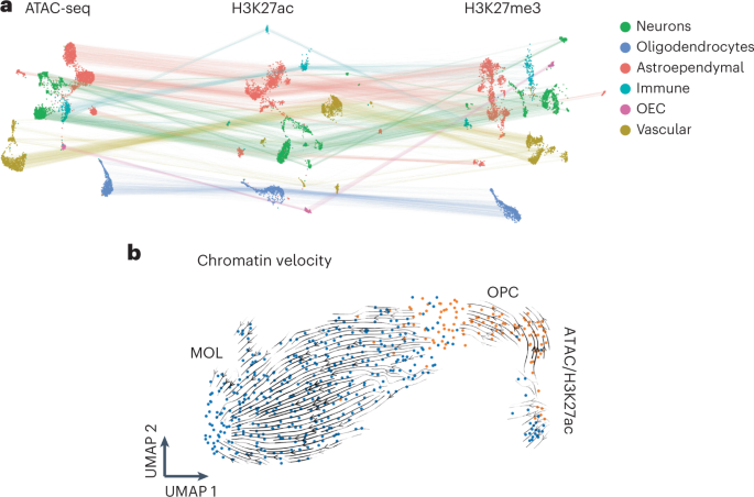 Single-cell nanobody-based profiles of multiple epigenetic modalities and chromatin velocity thumbnail