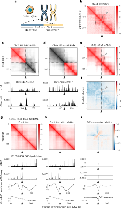 Saliency Maps for Deep Learning: Vanilla Gradient, by Andrew Schreiber