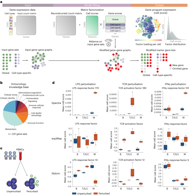 Supervised discovery of interpretable gene programs from single-cell data thumbnail