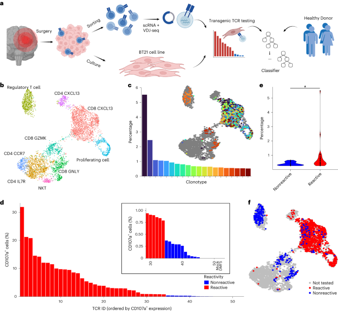 Prediction of tumor-reactive T cell receptors from scRNA-seq data for personalized T cell therapy – Nature Biotechnology | Maqvi News Prediction of tumor-reactive T cell receptors from scRNA-seq data for personalized T cell therapy – Nature Biotechnology | Maqvi News