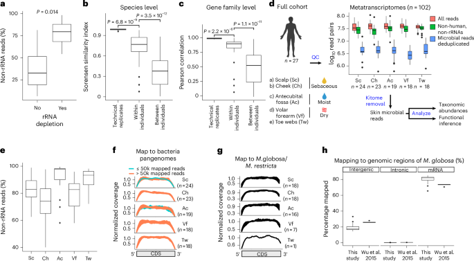 Skin metatranscriptomics reveals a landscape of variation in microbial ...