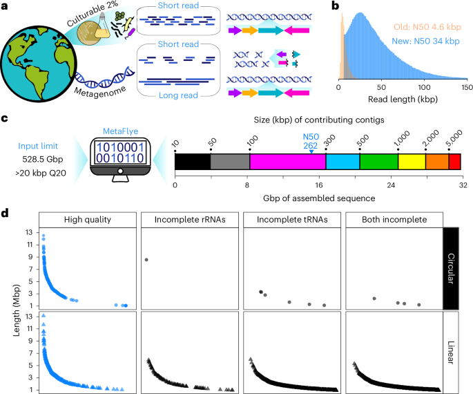 Bioactive molecules unearthed by terabase-scale long-read sequencing of a soil metagenome