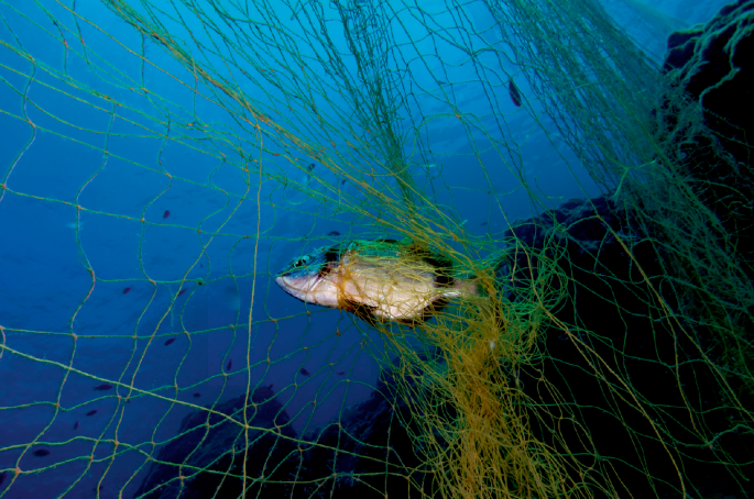 Ghost fishing nets meet microbial recyclers