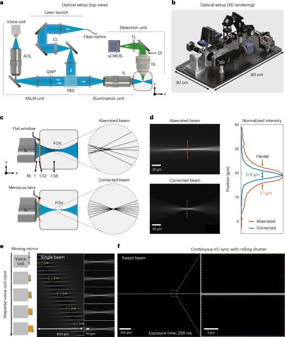 Isotropic, aberration-corrected light sheet microscopy for rapid high ...