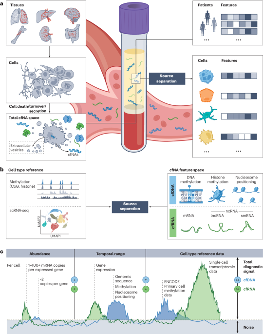 Cell type inference in cell-free nucleic acid liquid biopsy - LLMS ...