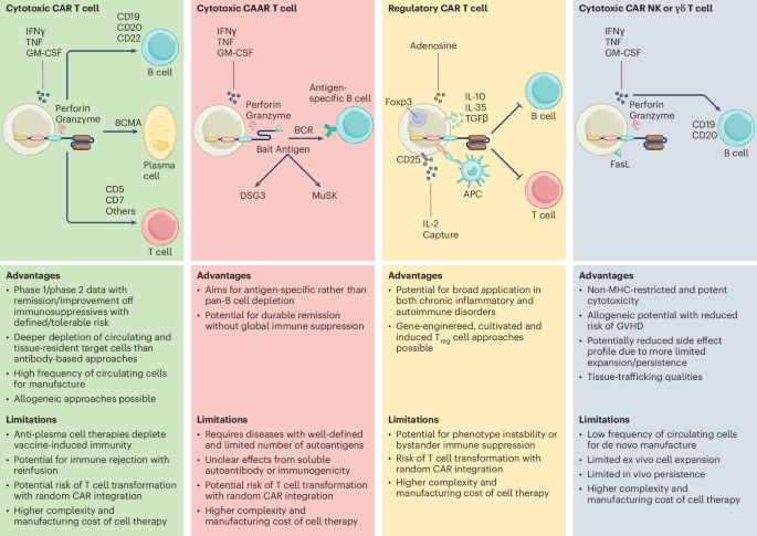 Clinical progress of engineered cellular immunotherapies for autoimmunity – Nature Biotechnology Clinical progress of engineered cellular immunotherapies for autoimmunity – Nature Biotechnology