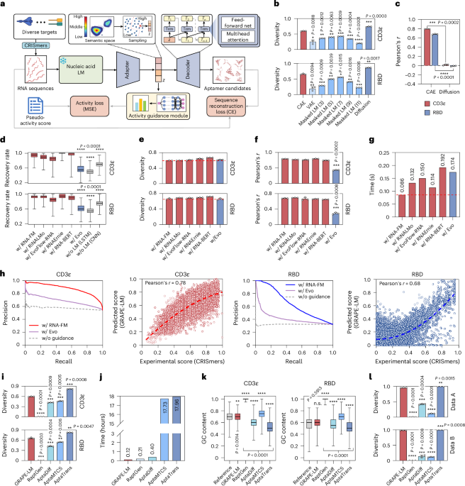 Single-round evolution of RNA aptamers with GRAPE-LM – Nature Biotechnology