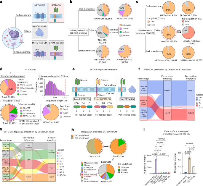 Discovery and design of potent cell surface display elements — GLOBAL — Aslikannih