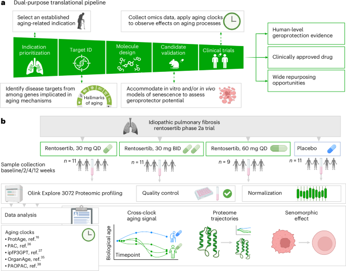 Integration of proteomic aging clocks in a phase 2a clinical trial supports simultaneous geroprotective assessment - Nature Biotechnology