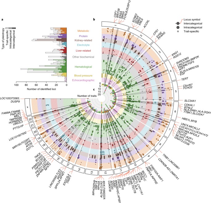 Genetic Analysis Of Quantitative Traits In The Japanese Population Links Cell Types To Complex Human Diseases Nature Genetics