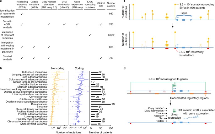 Pin By Kai Kelly On Biology In 2020 Computational Biology Biology Gene Expression