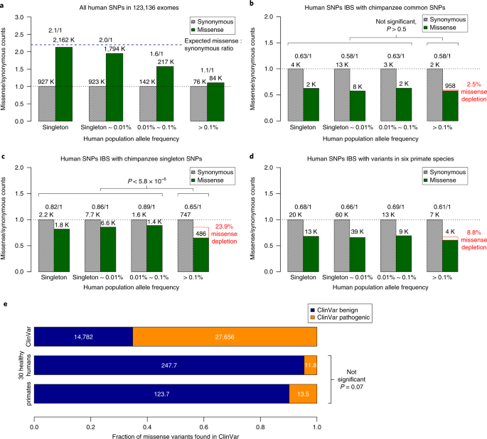 A new synonym-substitution method to enrich the human phenotype