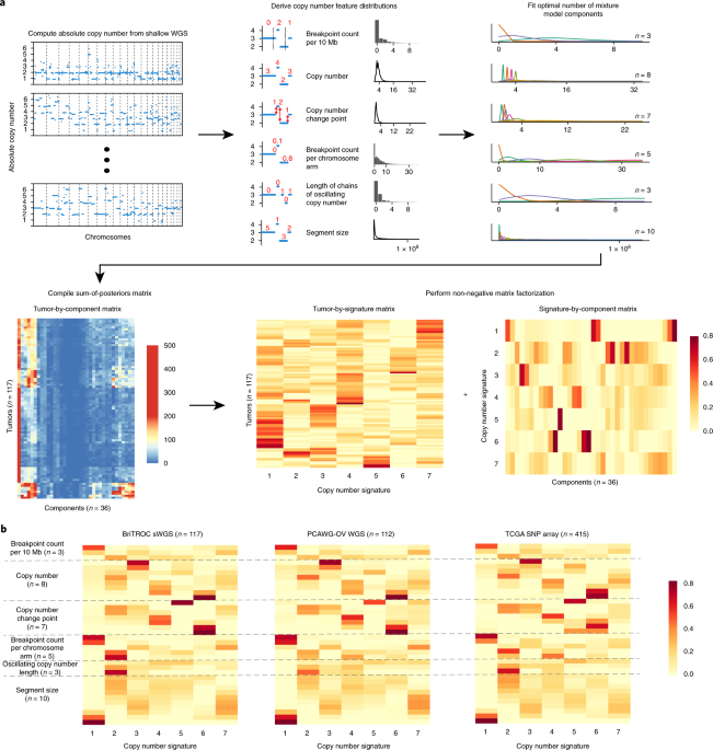 Copy number signature identification, Macintyre, Geoff, et al.(2018)