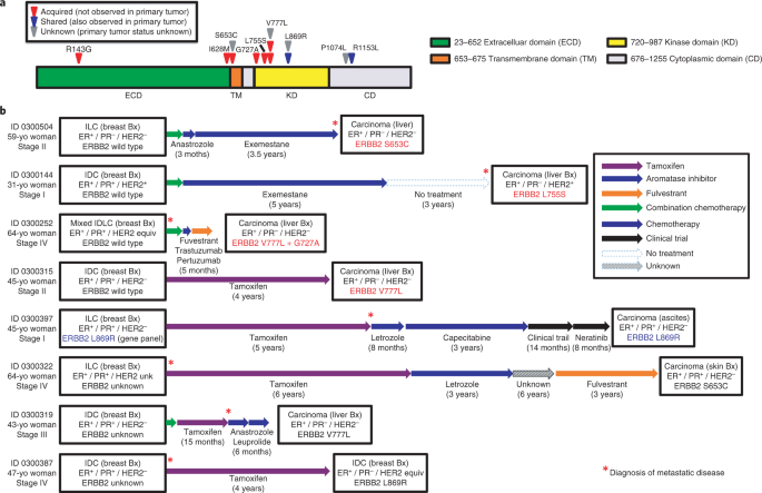 Acquired HER2 mutations in ER+ metastatic breast cancer confer resistance  to estrogen receptor–directed therapies | Nature Genetics