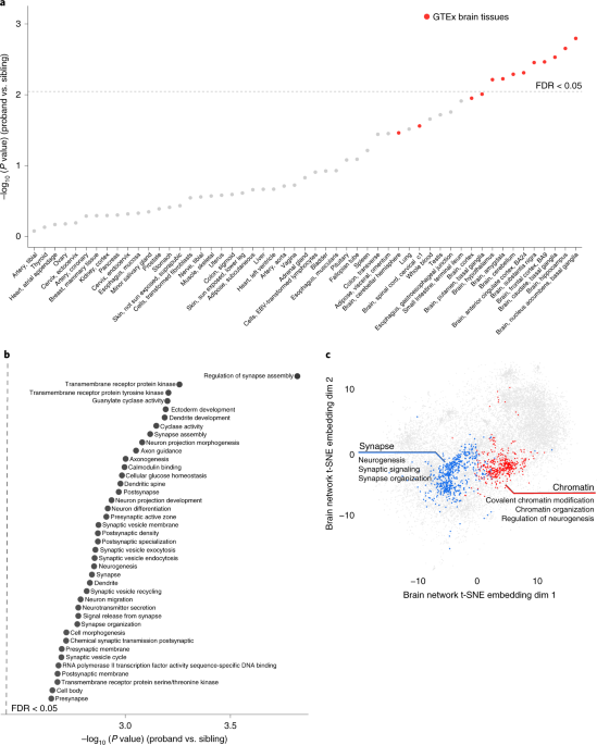 Autism Risk Genes Also Linked To Higher >> Whole Genome Deep Learning Analysis Identifies Contribution Of Autism Risk Genes Also Linked To Higher >> Whole Genome Deep Learning Analysis Identifies Contribution Of