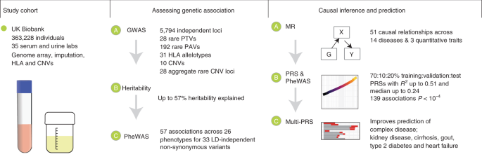 Genetics of 35 blood and urine biomarkers in the UK Biobank | Nature  Genetics