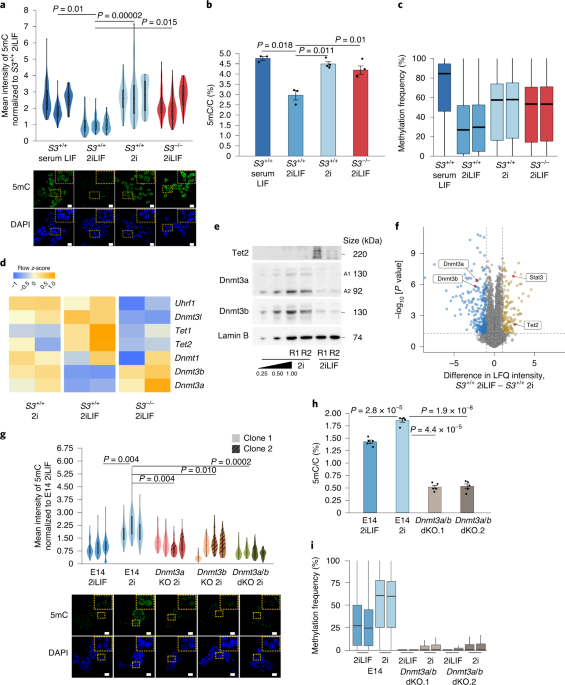 Metabolic Control Of Dna Methylation In Naive Pluripotent Cells Nature Genetics