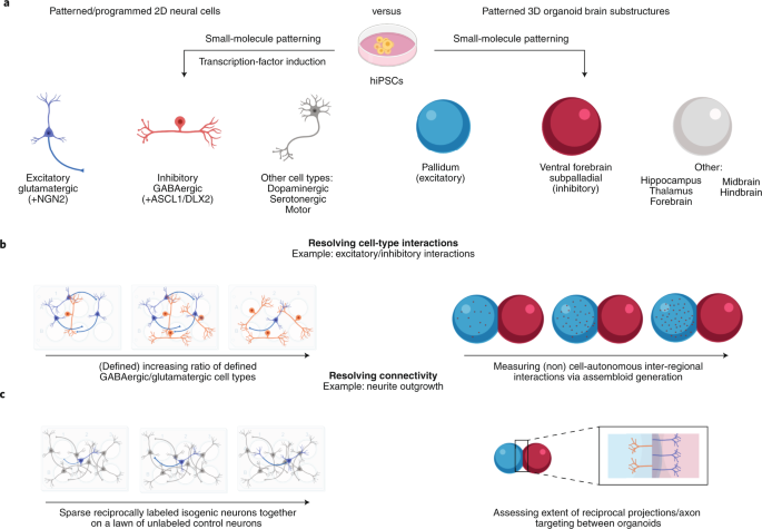                               Nature Genetics                          volume  52, pages  363–369 (2020 )Cite this article                