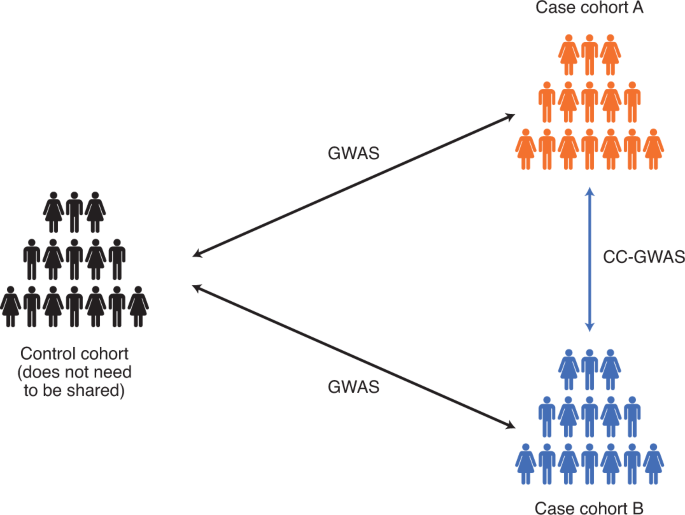 Finding hidden treasures in summary statistics from genome-wide association  studies | Nature Genetics