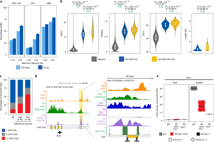 Orphan cpg islands amplify poised enhancer regulatory activity and determine target gene responsiveness