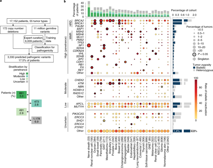 The Context Specific Role Of Germline Pathogenicity In Tumorigenesis Nature Genetics