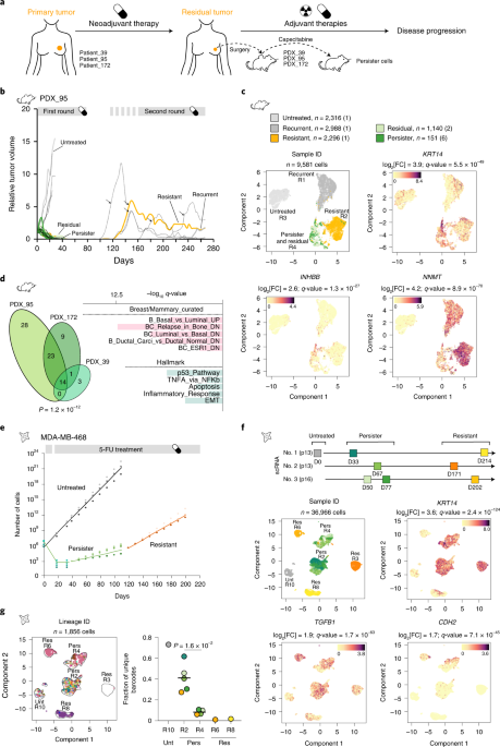 H3K27me3 conditions chemotolerance in triple-negative breast cancer