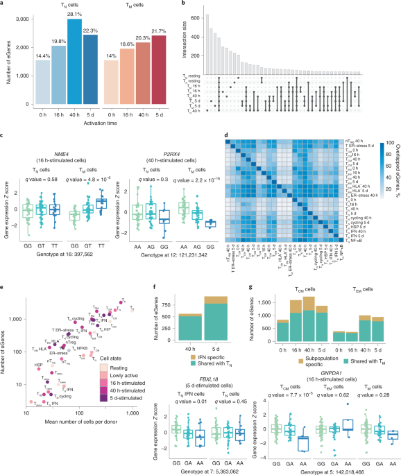 Immune disease risk variants regulate gene expression dynamics