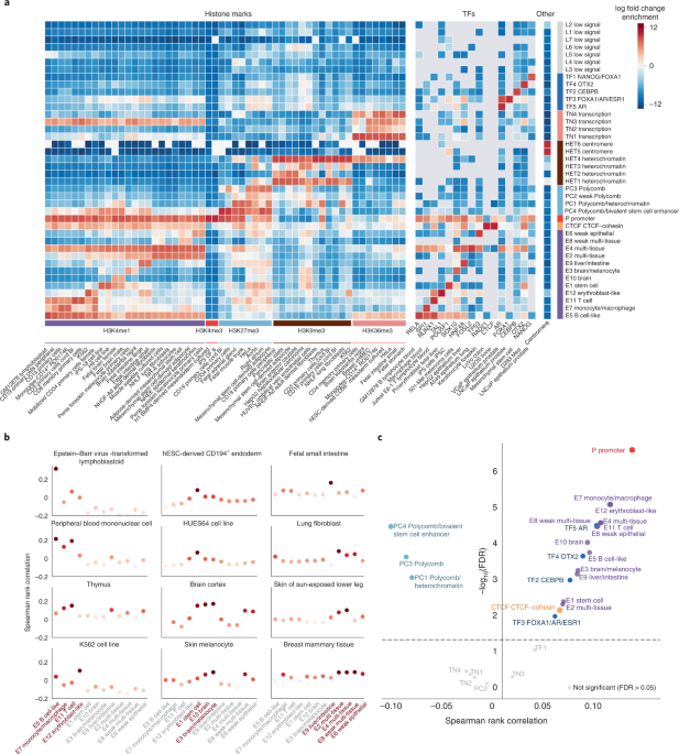 A sequence-based global map of regulatory activity for deciphering