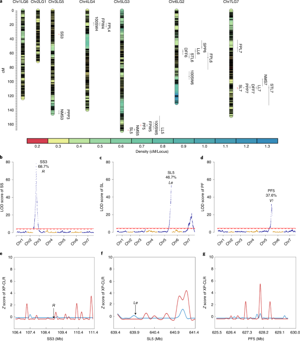 Jia Ling Pik - High Throughput Genotyping Lab Research Associate - Bayer