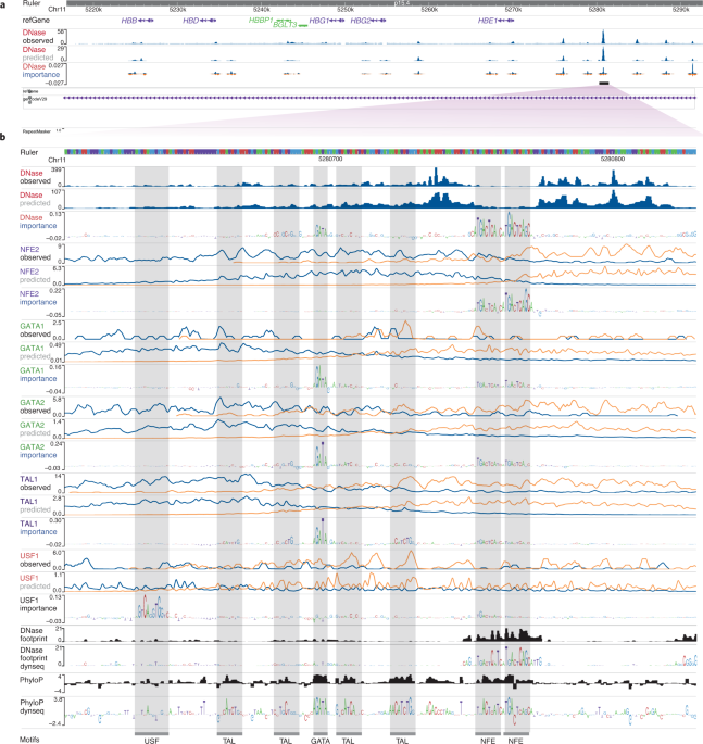 The dynseq browser track shows context-specific features at nucleotide resolution