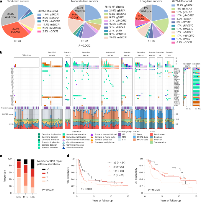 The genomic and immune landscape of long-term survivors of high-grade serous ovarian cancer