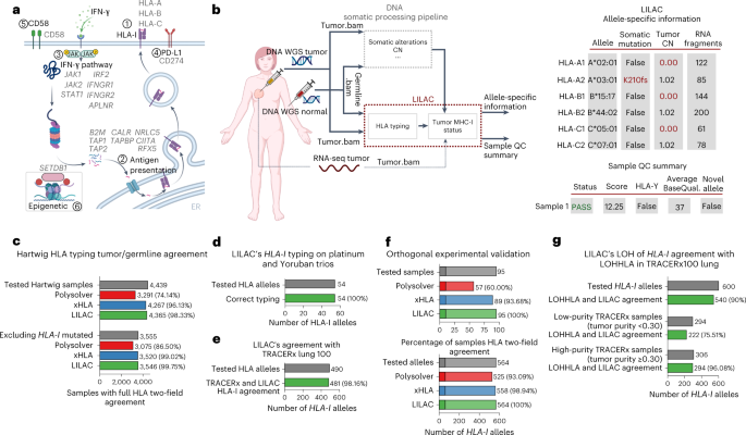Genetic immune escape landscape in primary and metastatic cancer
