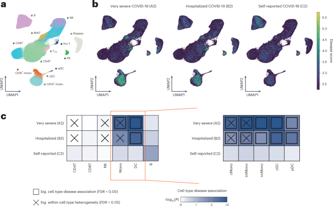 Mapping the human genetic architecture of COVID-19