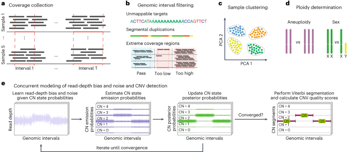 GitHub - tgac-vumc/ACE: Absolute Copy Number Estimation using low-coverage  whole genome sequencing data