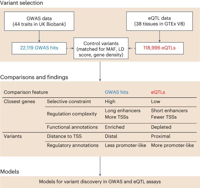 Win Loss Draw Comparison of Classifiers