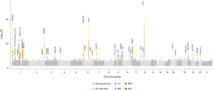 Rare variants with large effects provide functional insights into the pathology of migraine subtypes, with and without aura