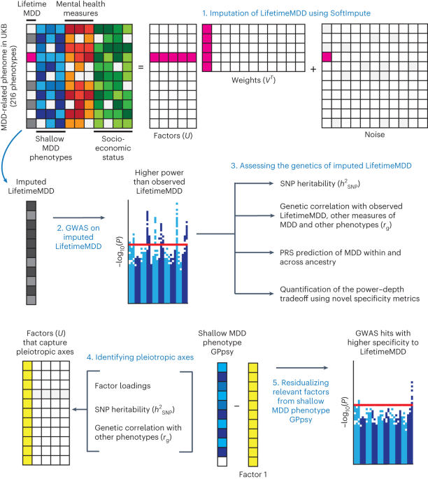 Phenotype integration improves power and preserves specificity in ... - Nature.com