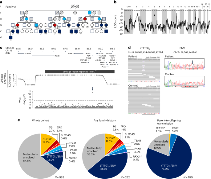Functional variants in a tttg microsatellite on 15q26. 1 cause familial nonautoimmune thyroid abnormalities