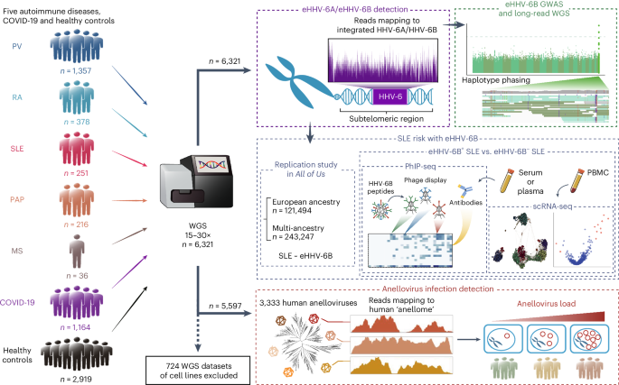 Blood DNA virome associates with autoimmune diseases and COVID-19 